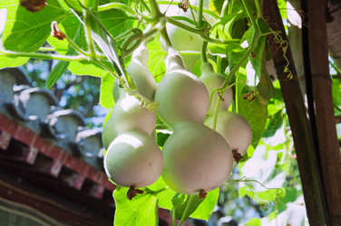 Similar image 343881