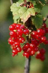 Similar image 343886