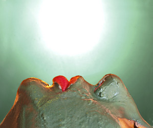 Similar image 343909