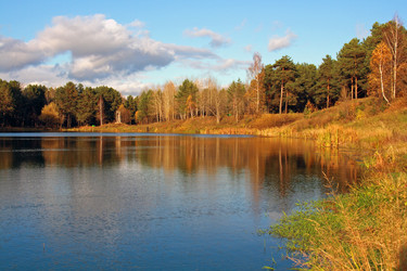 Similar image 343964