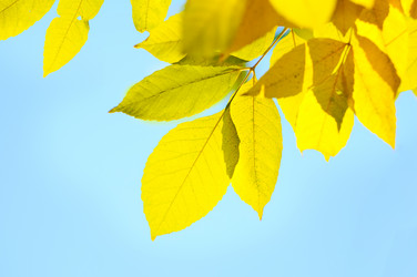 Similar image 344031