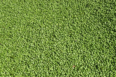 Similar image 344059