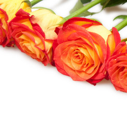 Similar image 344108