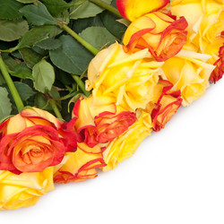 Similar image 344109