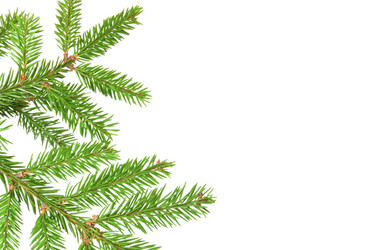 Similar image 344149