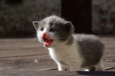 Similar image 344155