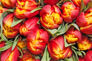 Similar image 344160