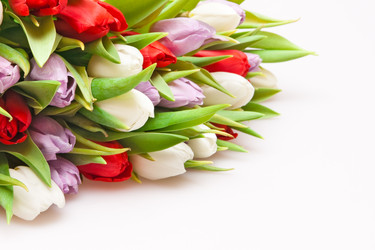 Similar image 344162