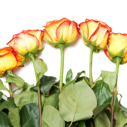 Similar image 344176