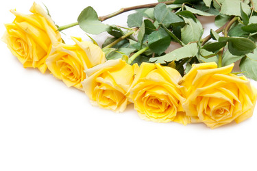 Similar image 344177