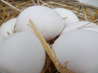 Similar image 344180