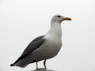 Similar image 344216