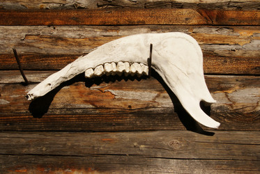 Similar image 344284