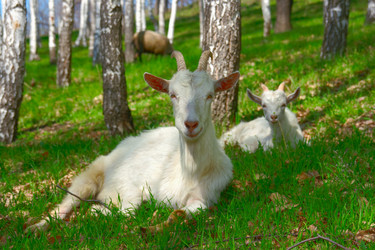 Similar image 344463