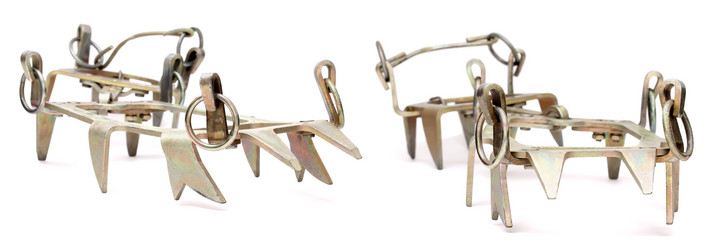 Similar image 344472