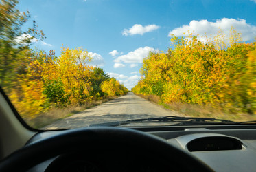 Similar image 344582