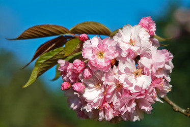 Similar image 344676