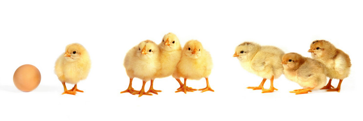 Similar image 344680