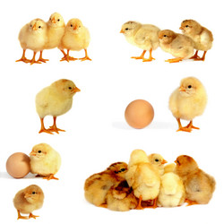 Similar image 344682