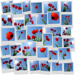 Similar image 344706