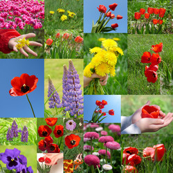 Similar image 344707