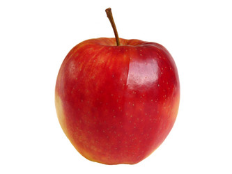 Similar image 344708