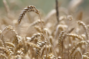 Similar image 344765