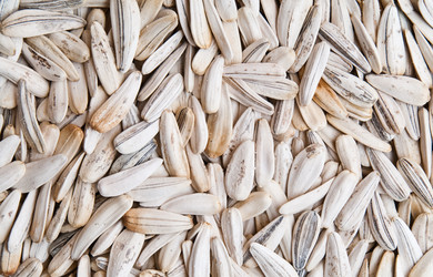 Similar image 344792