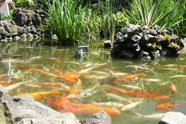 Similar image 344804