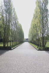 Similar image 344809