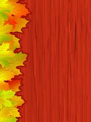 Similar image 344839