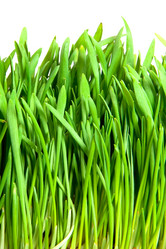 Similar image 344843