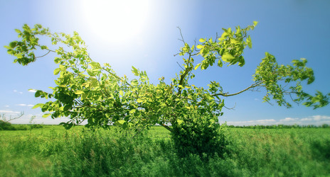 Similar image 344850