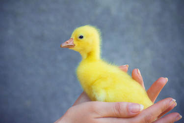 Similar image 344857