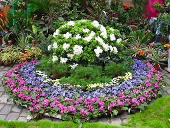 Similar image 344858