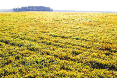 Similar image 344868