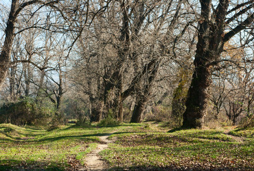 Similar image 344869