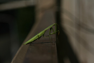 Similar image 345124