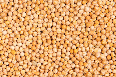 Similar image 345125