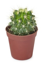 Similar image 345146