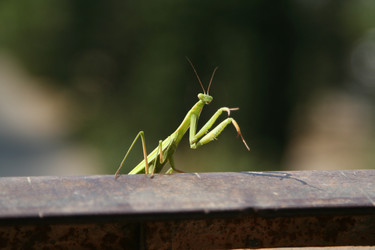 Similar image 345177