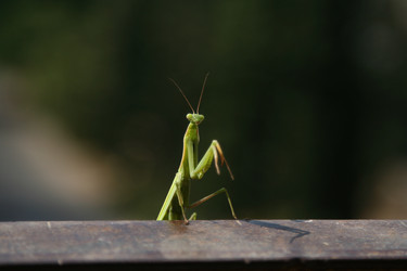 Similar image 345181