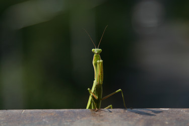 Similar image 345184