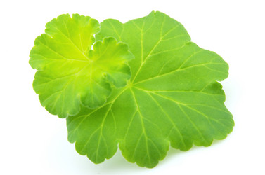 Similar image 345301