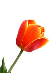 Similar image 345365