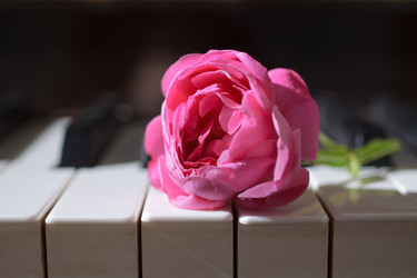 Similar image 345377