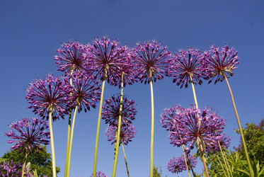 Similar image 345396