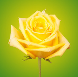 Similar image 345418