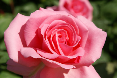 Similar image 345422