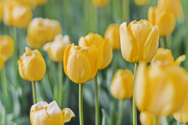 Similar image 345429